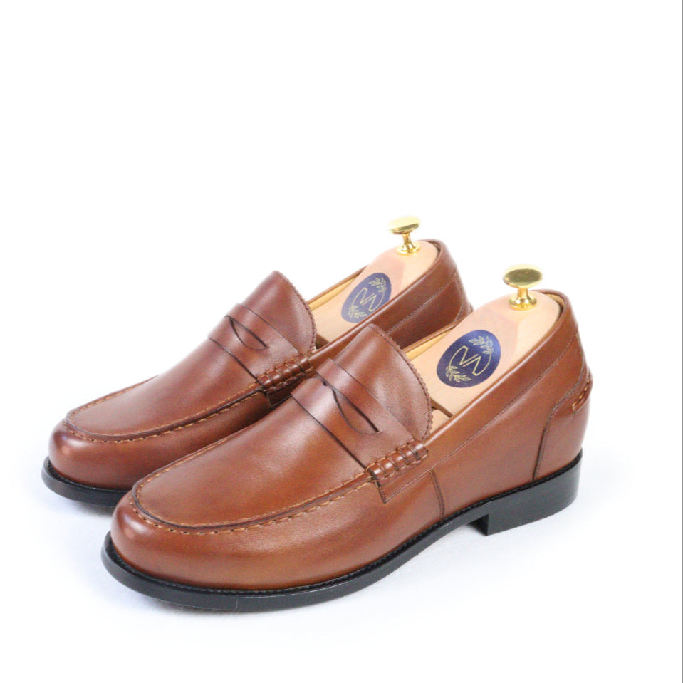 Pair of brown loafers on a white background