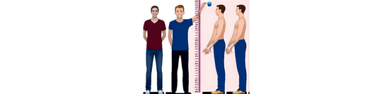 The Hilariously Unscientific Guide to Becoming Taller