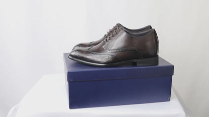 Volo Alte Frontera | Berdiri 6cm Lebih Tinggi